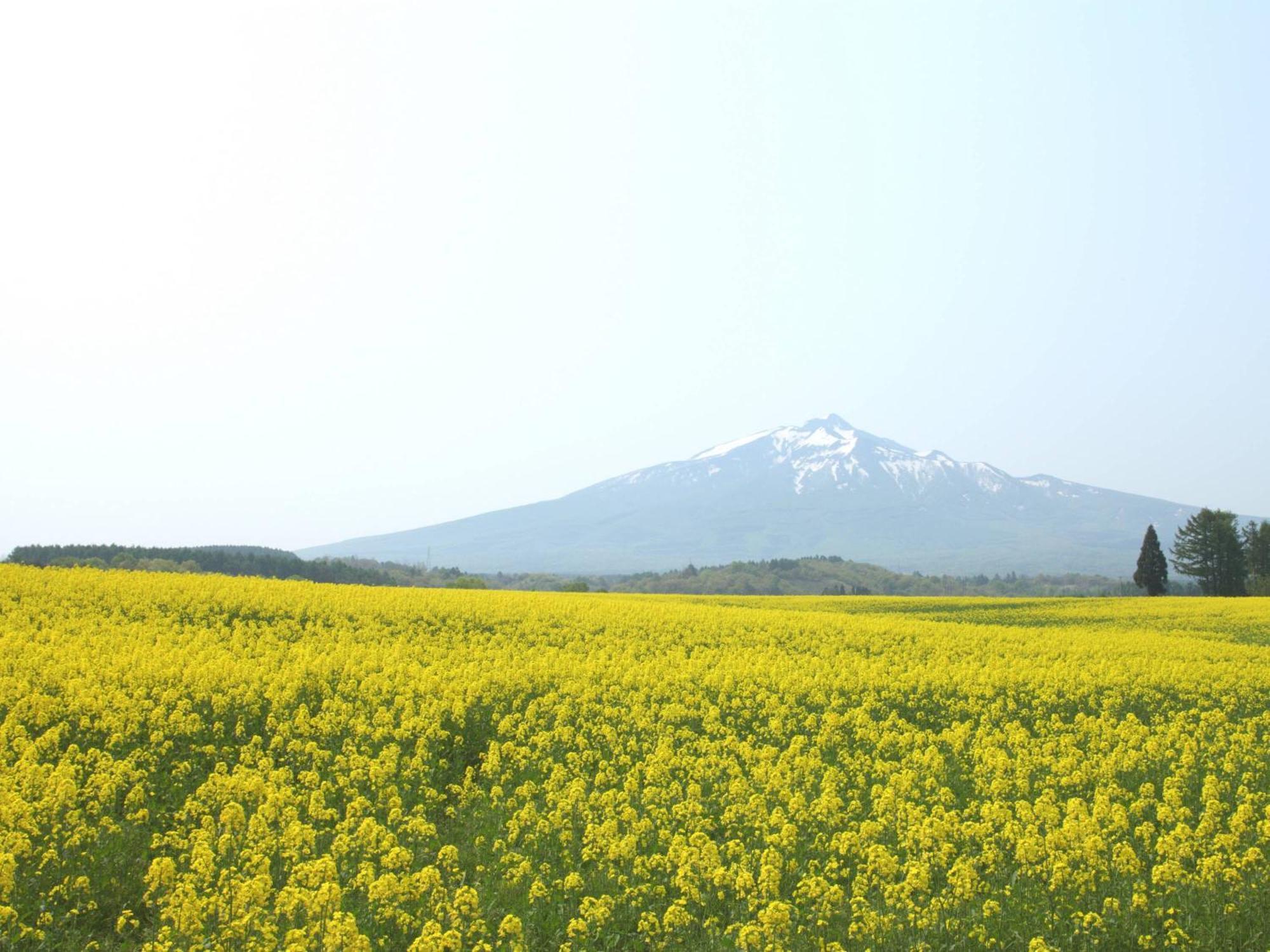 Apa Hotel Aomori Ekihigashi Екстериор снимка